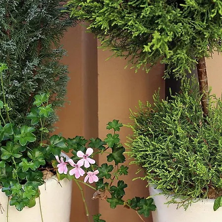 Apartment Paradiso24