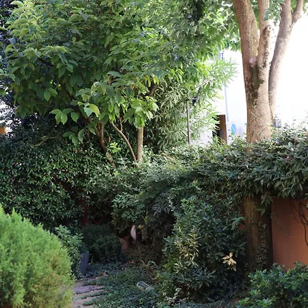 Paradiso24 * Forli